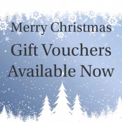 Christmas Gift Vouchers Civic Theatre 470x470
