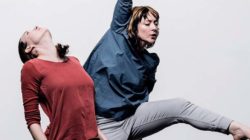 Liz Roche - Active Audience