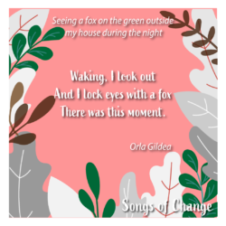 Poem, Seeing a fox on the green outside my house during the night, Waking, I look out And I lock eyes with a fox There was this moment. Poem 3, Orla_Gildea.
