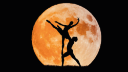 Night-Ballet