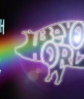 Beyond The Horizon - Irish Pink Floyd Tribute